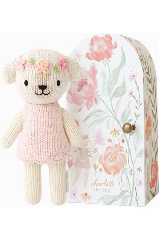 Tiny Charlotte the dog