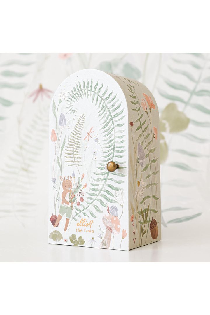 Tiny Elliott the fawn