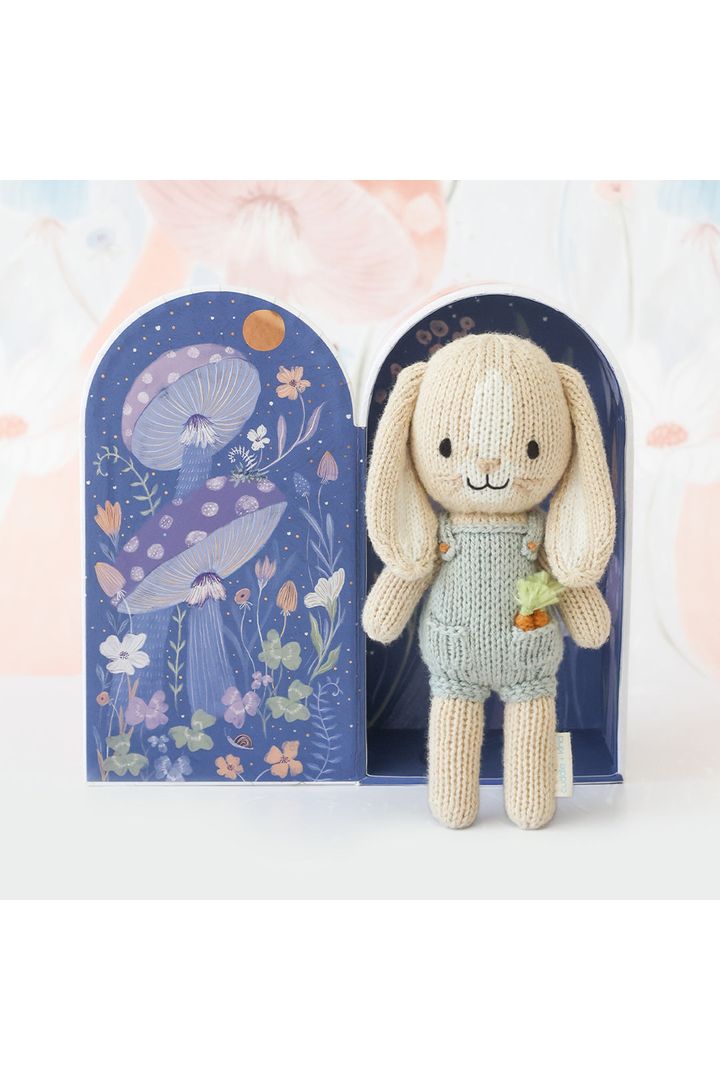 Tiny Henry the bunny