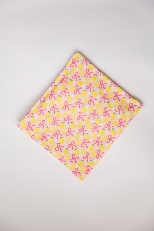 Pink Lemonade Swaddle | Blanket