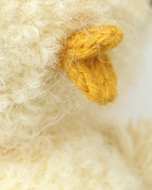 Baby bouclé chick